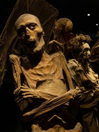 The Mummies of Guanajuato, a Number of Naturally Mummified Bodies Interred During a Cholera Outbreak...
