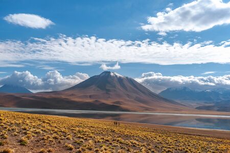Tourists at Miscanti Lagoon in the Atacama Desert, northern Chile, South America.の写真素材
