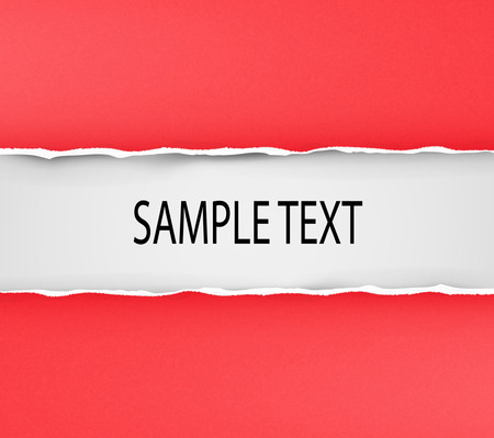 Torn paper frame. Vector のイラスト素材