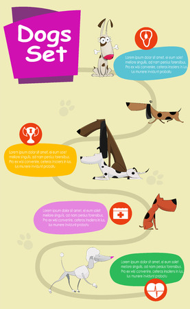 Dogs infographics vectorのイラスト素材