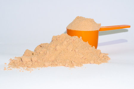 Chocolate protein powder with its spont at the right fullの写真素材