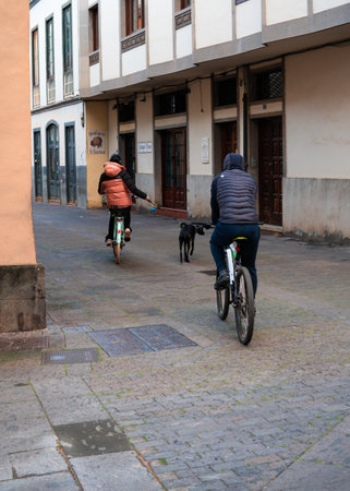 A couple with their dog and bikesの写真素材
