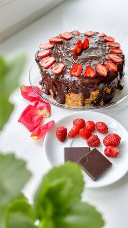 Natural food for veganの写真素材