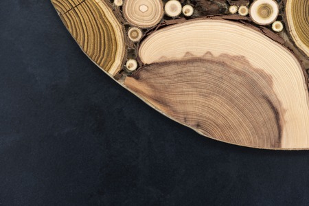 Board with sawed branches by juniper and acaciaの写真素材