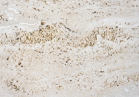 Coquina stone texture or backgroundの写真素材