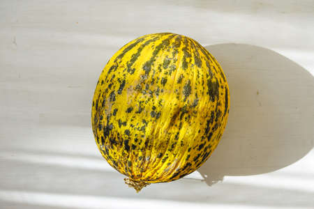 Ripe Melon on White Table Beautiful Daylight Top View