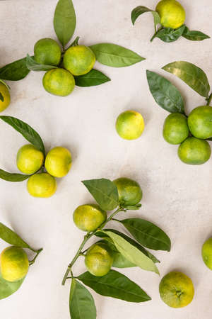 Fresh Green Tangerines Scattered on Table Top View