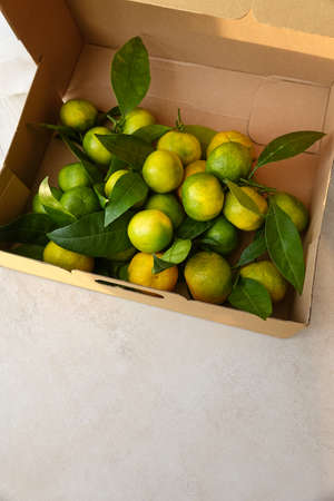 Fresh Organic Green Tangerines in Cardboard Box on Table Top View Copy Spaceの写真素材
