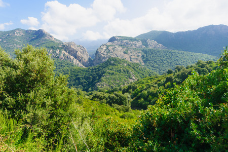 View of Prunelli Gorge in Corsica, Franceの写真素材