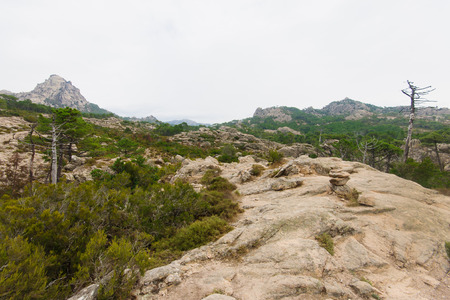 Corsican nature and Mountain View. Along the Cascade de Piscia di Ghjaddu trail. Corse-du-Sud, Corsica, Franceの写真素材