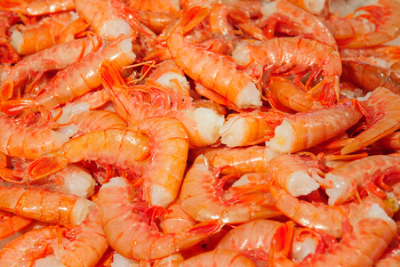 Shrimps on sale in the market, in Venice, Veneto, Italyの写真素材