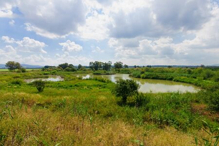 Wetland landscape, in En Afek Nature Reserve, northern Israelの写真素材