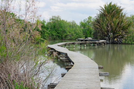 An elevated wooden footpath over a water pond, in En Afek Nature Reserve, northern Israelの写真素材