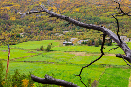 Green countryside View from road 55 Norwayの写真素材