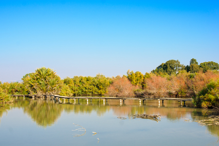 An elevated wooden footpath over a water pond in En Afek Nature Reserve northern Israelの写真素材