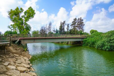 Nahal Alexander Alexander stream nature reserve and the Turtle Bridge. Israelの写真素材