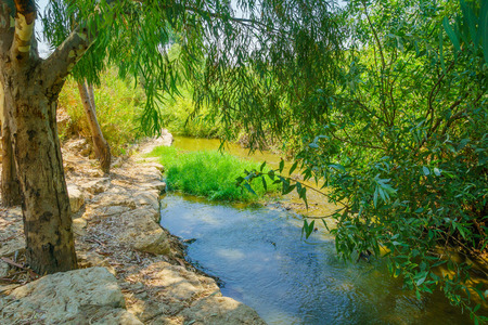 The Kishon stream and park HaAmakim park, in northern Israelの写真素材