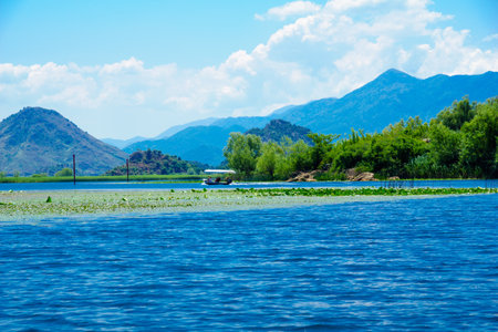 RIJEKA CRNOJEVICA, MONTENEGRO - JUNE 30, 2015: A boat of visitors in the Rijeka Crnojevica River, in the northern area of Skadar Lake National Park. Montenegroのeditorial素材