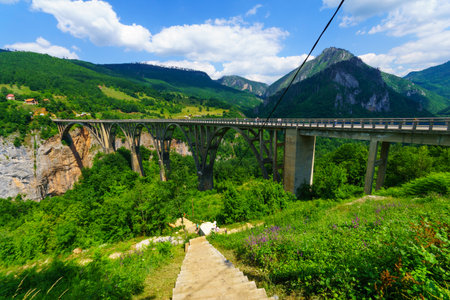 BUDECEVICA, MONTENEGRO - JULY 02, 2015: Scene of the Durdevica Tara Bridge, across the Tara River Canyon, with locals and tourists, in northern Montenegroのeditorial素材
