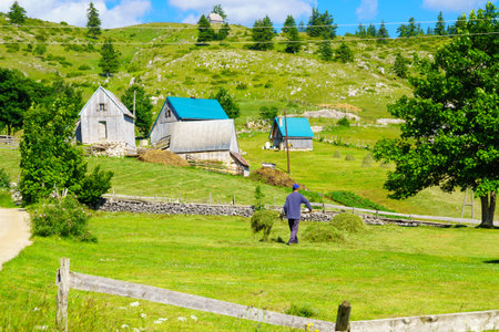 ZABLJAK, MONTENEGRO - JULY 03, 2015: A village Mala Crna Gora, and a farmer, in Durmitor area, Northern Montenegroのeditorial素材