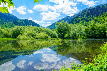 View of Lake Biograd Biogradsko jezero, Biogradska Gora national park, Montenegroの写真素材