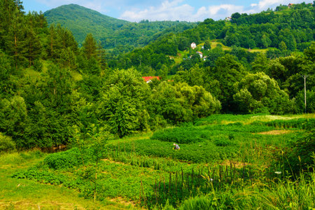 LUKAVAC, BIH - JULY 04, 2015: View and countryside, with a farmer, along the M18 road in the Republika Srpska, Bosnia and Herzegovinaのeditorial素材