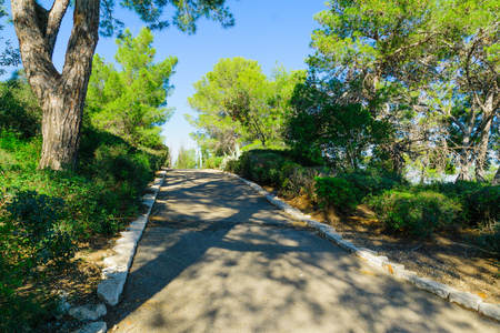 View of Horshat Hameyasdim Founders Grove, a public garden in Haifa, Israelの写真素材