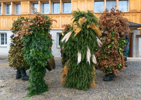 URNASCH, SWITZERLAND - DECEMBER 31, 2015: New Year Mummers, and spectators in Urnasch, Appenzell, Switzerland. Its part of the Silvesterchlausen tradition of greeting for the New Yearのeditorial素材