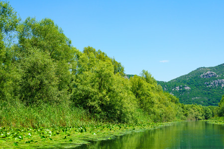 The Rijeka Crnojevica River, in the northern area of Skadar Lake National Park. Montenegroの写真素材