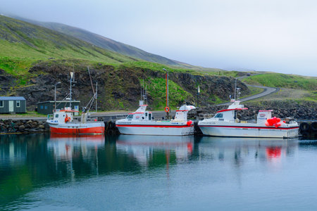 BAKKAGERDI, ICELAND - JUNE 14, 2016: View of the harbor of Bakkagerdi, in the east fjords region, Icelandのeditorial素材