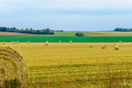 Countryside and haystacks in Yonne department, Burgundy, Franceの写真素材