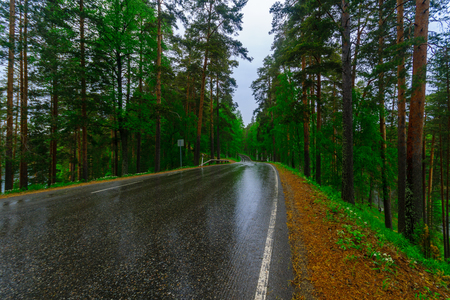 Road and forest in the Punkaharju ridge. Shouthern Savonia, Lakeland region, Finlandの写真素材