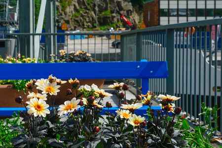 View of the flowers and a bench on the Theatre bridge, in Turku, Finlandの写真素材