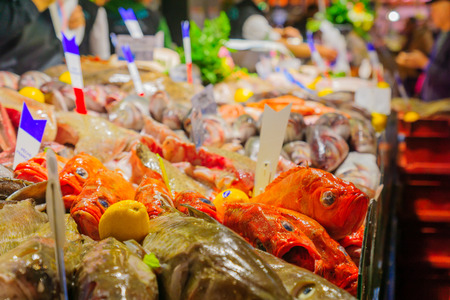 Various fish on sale in a French market in Dijon, Burgundy, Franceの写真素材