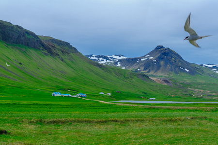 Landscape and countryside in the Snaefellsnes peninsula, west Icelandの写真素材