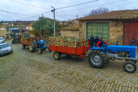 DUAS IGREJAS, PORTUGAL - DECEMBER 26, 2017: Villagers take part and carry woods, in the celebration of Santo Estevao, as part of Christmas event, in Duas Igrejas, Portugalのeditorial素材