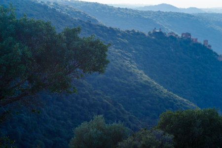 View of the remains of the Montfort Castle, and Kziv stream landscape, in the Upper Galilee region in northern Israelのeditorial素材