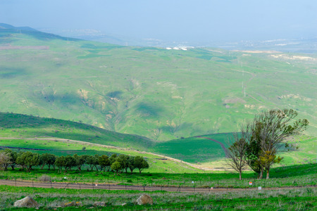 Landscape of the Tabor Stream, in the lower Galilee, Northern Israelの写真素材