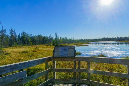 Alma, Canada - September 24, 2018: View of marshland in the Caribou Plain, Fundy National Park, New Brunswick, Canadaのeditorial素材