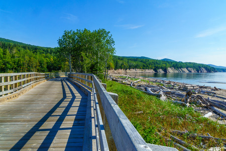 Elevated footpath in the Penouille sector of Forillon National Park, Gaspe Peninsula, Quebec, Canadaの写真素材