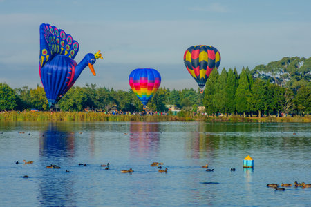 Hamilton, NZ - March 28, 2010: Hot Air Balloons flying above Lake Rotoroa (Hamilton Lake Domain), in Hamilton, New Zealand. This is part of the Balloons over Waikato eventのeditorial素材