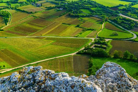 Landscape of vineyards and countryside, viewed from the Rock of Solutre (la roche), in...