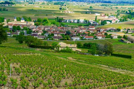 Landscape of vineyards and countryside in Beaujolais, with the village Saint-Lager. Rhone department, Franceの写真素材