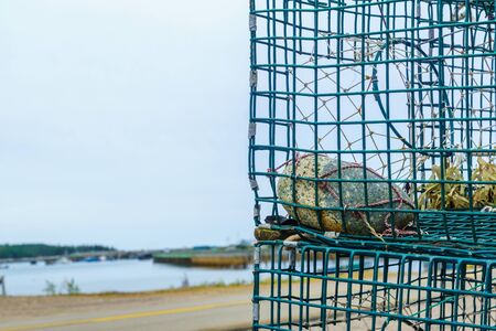 View of lobster traps and the coast in Dipper Harbour, New Brunswick, Canadaの写真素材