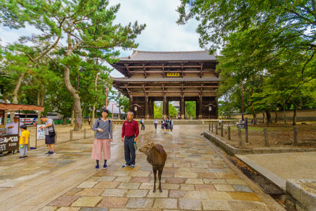 Nara, Japan - October 5, 2019: View of the Nandaimon Gate of Todaiji, with visitors and a sacred deer, it is a Buddhist temple in Nara, Japanのeditorial素材