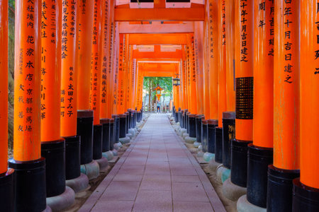 Kyoto, Japan - October 10, 2019: View of a path of Torii gates, up the Inari mountain, with visitors, in Kyoto, Japanのeditorial素材