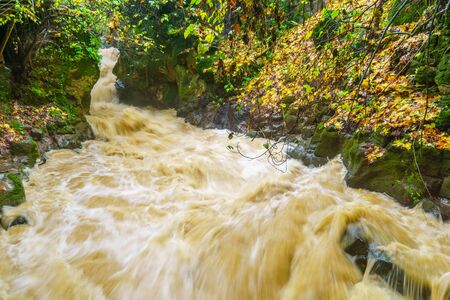 View of strong winter waterflow in the Banias River (Nahal Hermon). Part of the Banias Nature Reserve, Northern Israel. Long exposureの写真素材