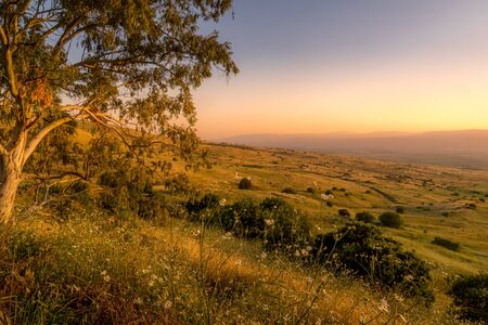 Sunset view of the slopes of the Golan Heights, and the Hula Valley. Northern Israelの写真素材
