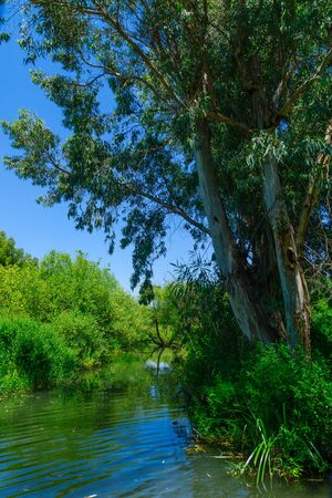 View of the Daliyot stream, in the Majrase - Betiha (Bethsaida Valley) Nature Reserve, Northern Israelの写真素材