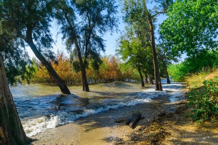 View of the east shore of the Sea of Galilee with high water level, waves, and trees. Northern Israelの写真素材